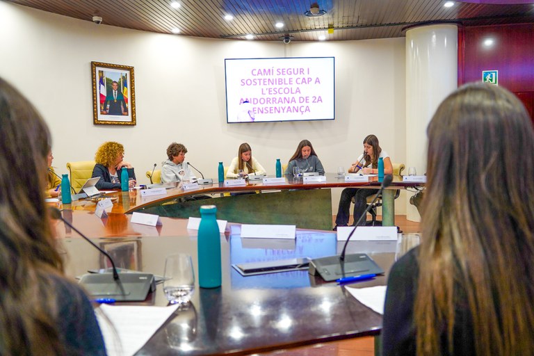 20250505 consell de joves @ComuEncamp (50).jpg