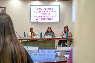 20250505 consell de joves @ComuEncamp (52).jpg.