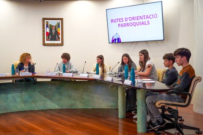 20250505 consell de joves @ComuEncamp (57).jpg.