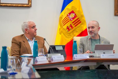 20250505 consell de joves @ComuEncamp (70).jpg.