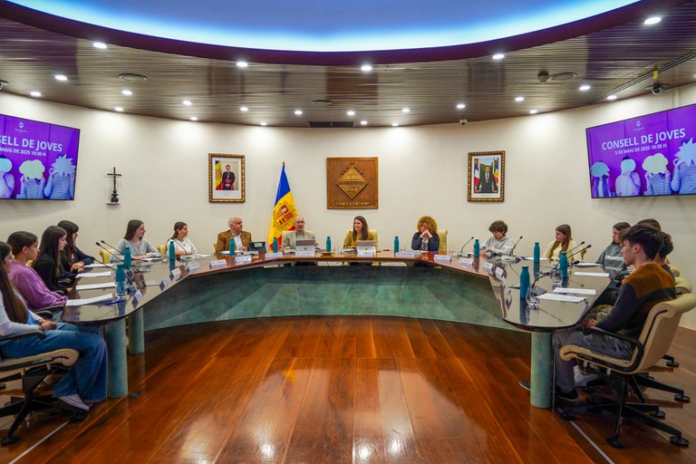 20250505 consell de joves @ComuEncamp (75).jpg