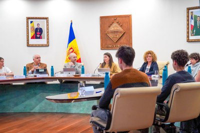 20250505 consell de joves @ComuEncamp (93).jpg.