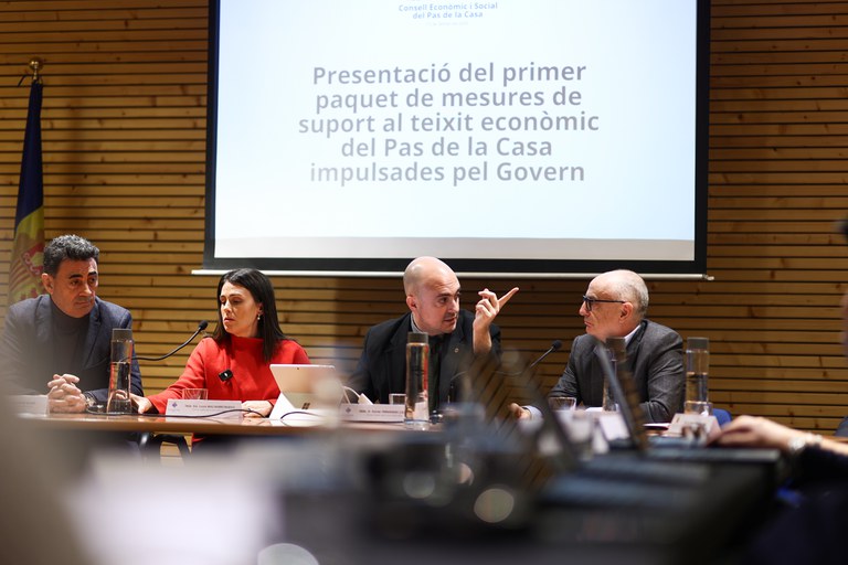 20260213 Consell Econòmic i Social del Pas de la Casa @F (19).jpg