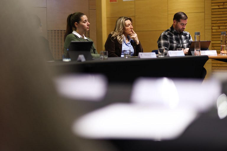 20260213 Consell Econòmic i Social del Pas de la Casa @F (23).jpg