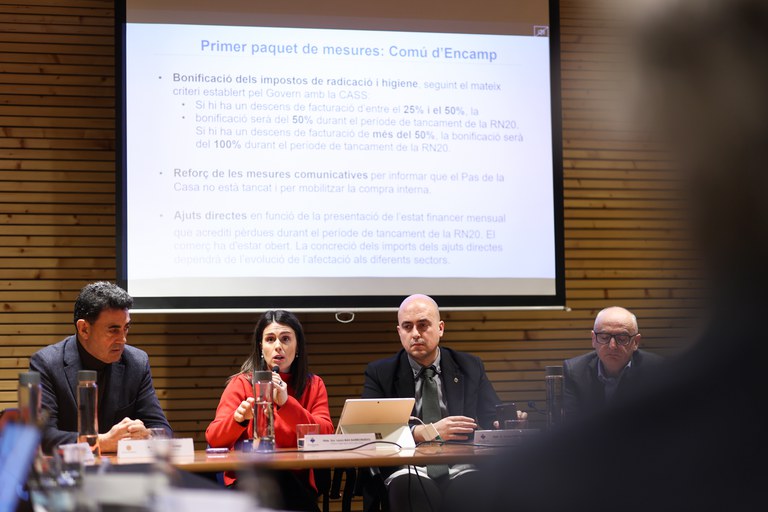20260213 Consell Econòmic i Social del Pas de la Casa @F (37).jpg