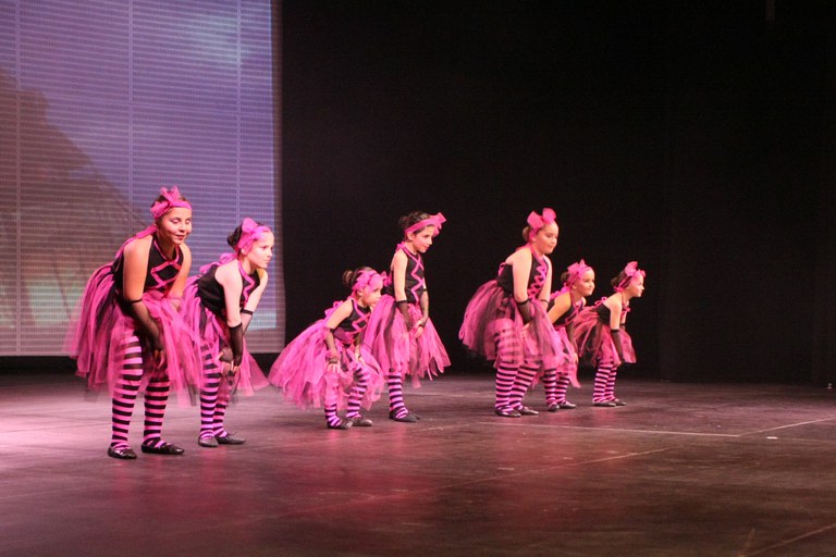 Festival de la Neu 