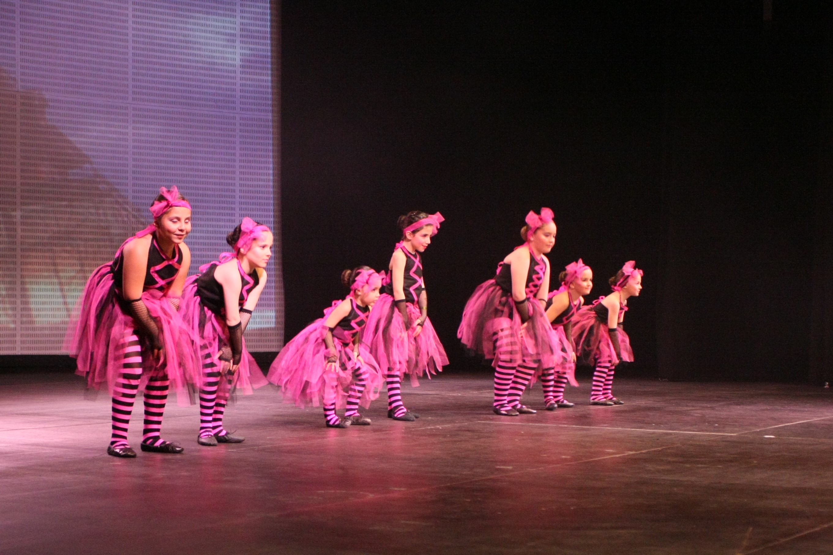 Festival de la Neu 
