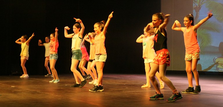 Festival de la Neu 