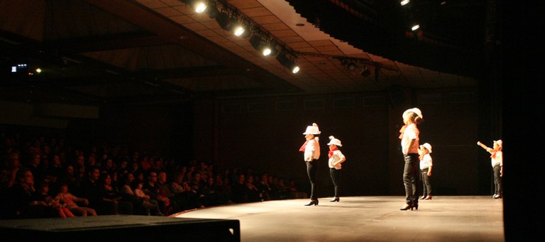 Festival de la Neu 