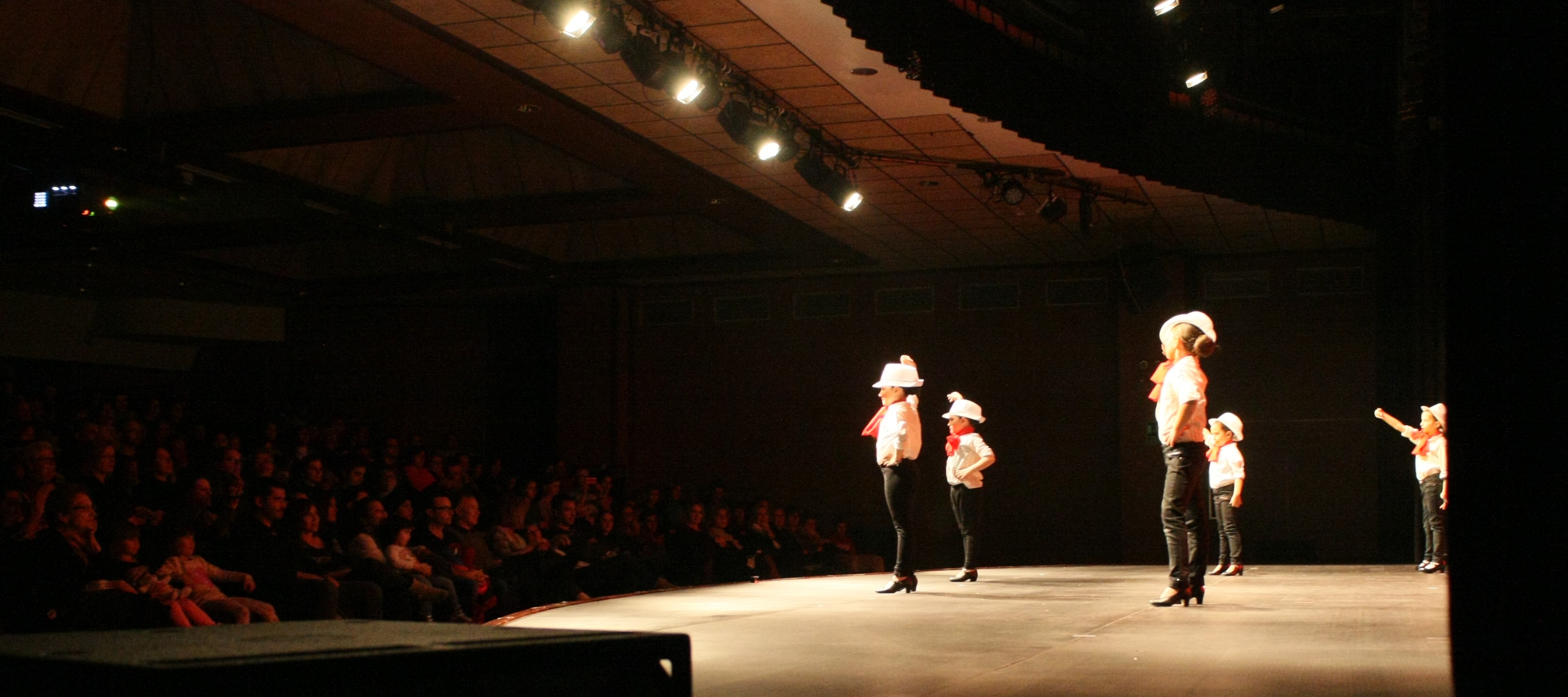 Festival de la Neu 