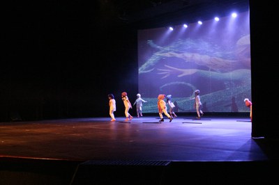 Festival de la Neu .