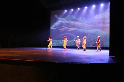 Festival de la Neu .