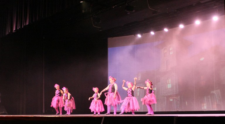 Festival de la Neu 