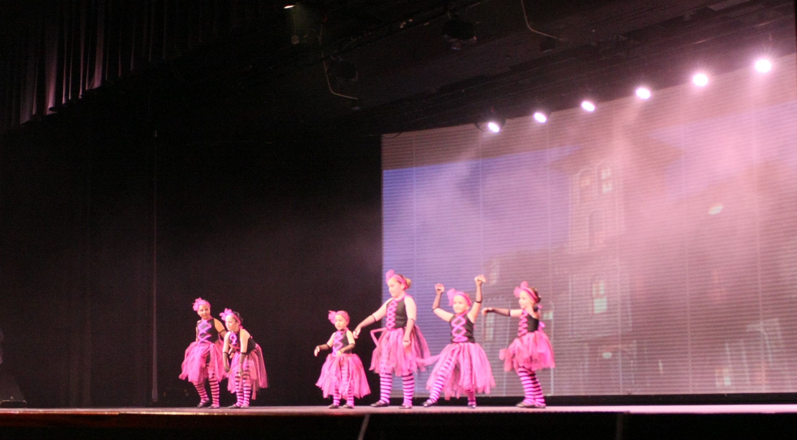 Festival de la Neu 