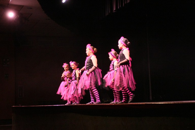 Festival de la Neu 