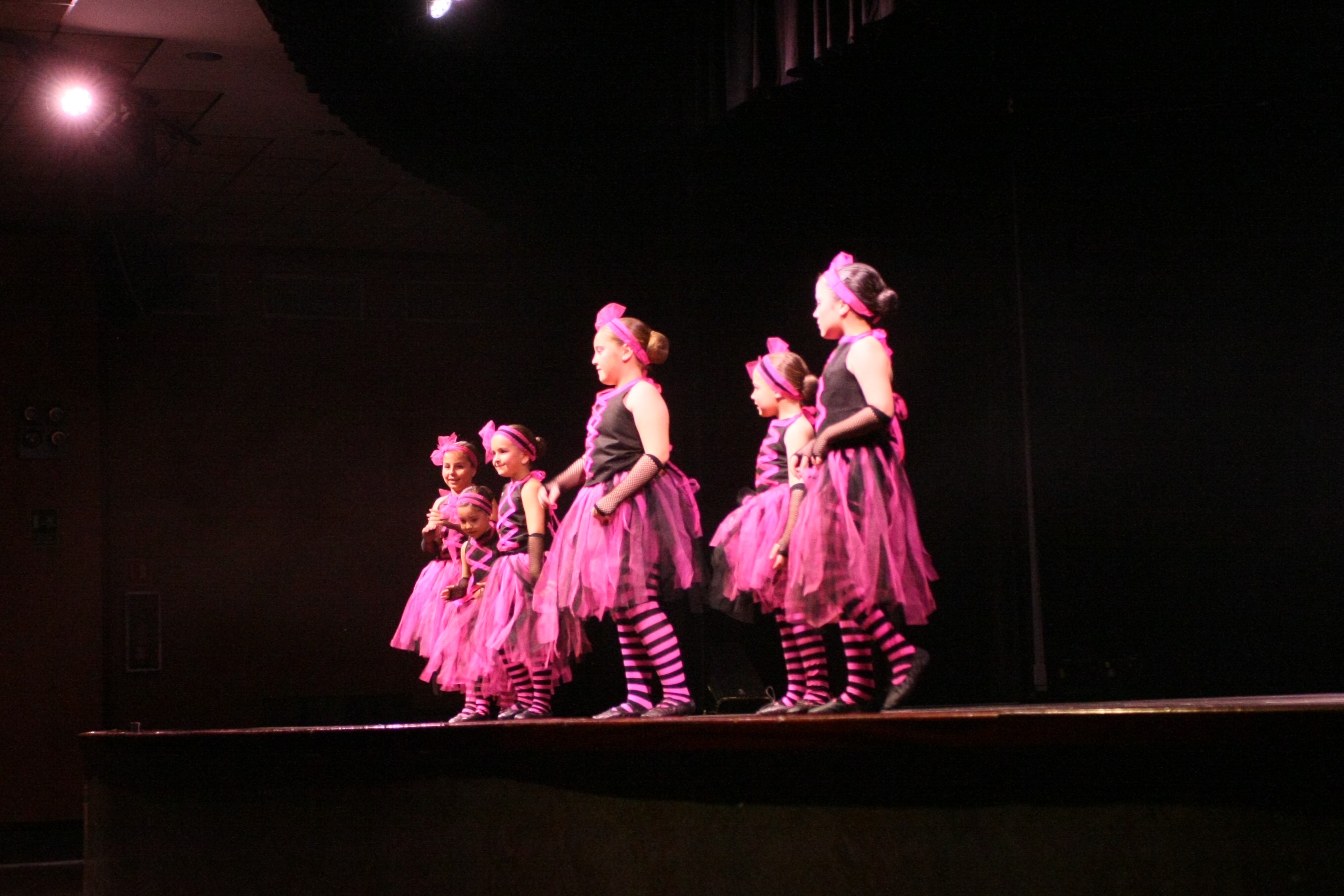 Festival de la Neu 