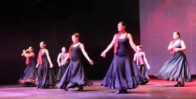 Festival de la Neu .