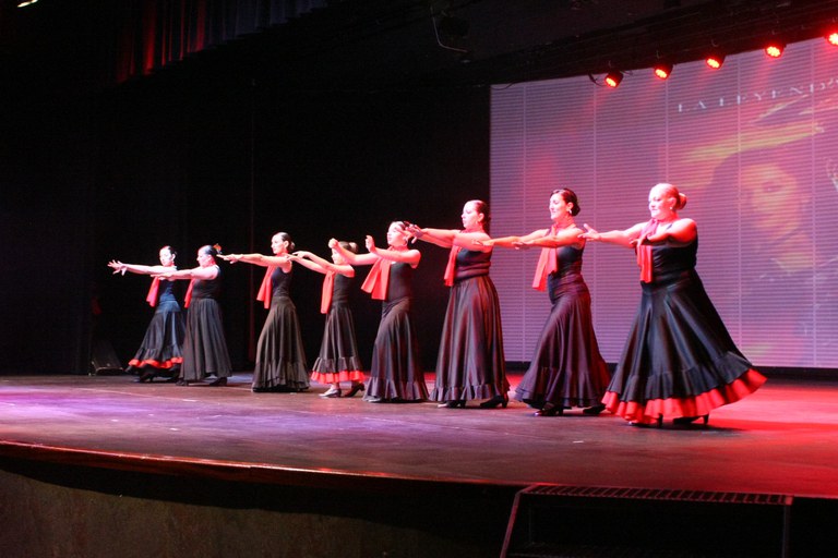 Festival de la Neu 