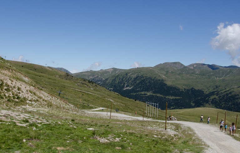 _DSC4201-3.JPG