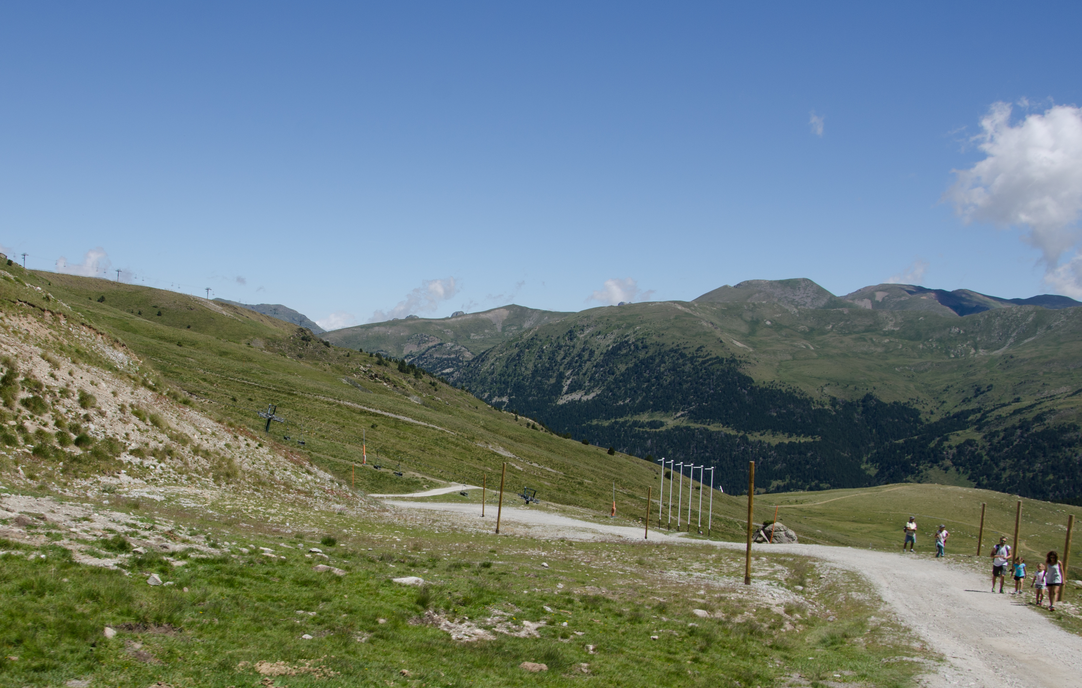 _DSC4201-3.JPG