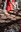 Judici dels Contrabandistes @RubenCalvoperComúEncamp
