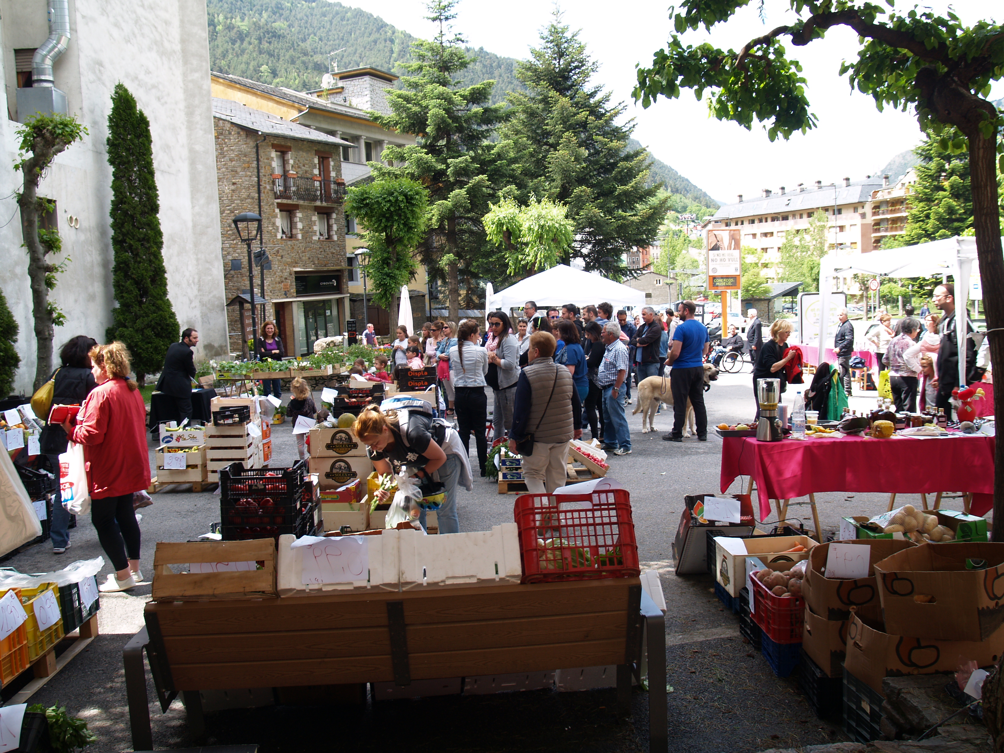 Màgia al Mercat d'Encamp 