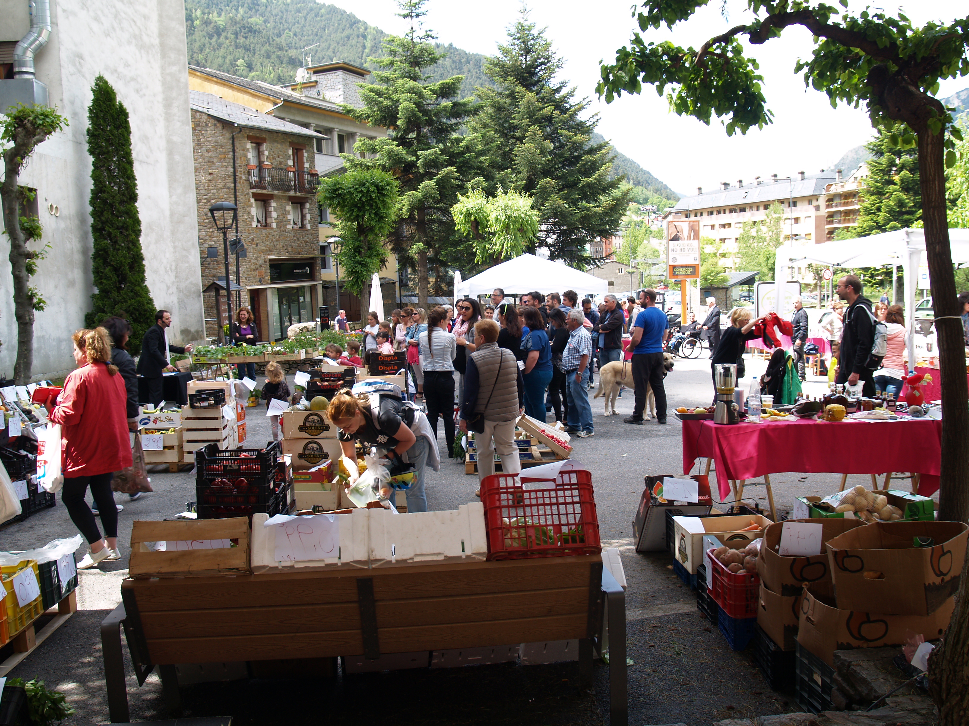 Màgia al Mercat d'Encamp 