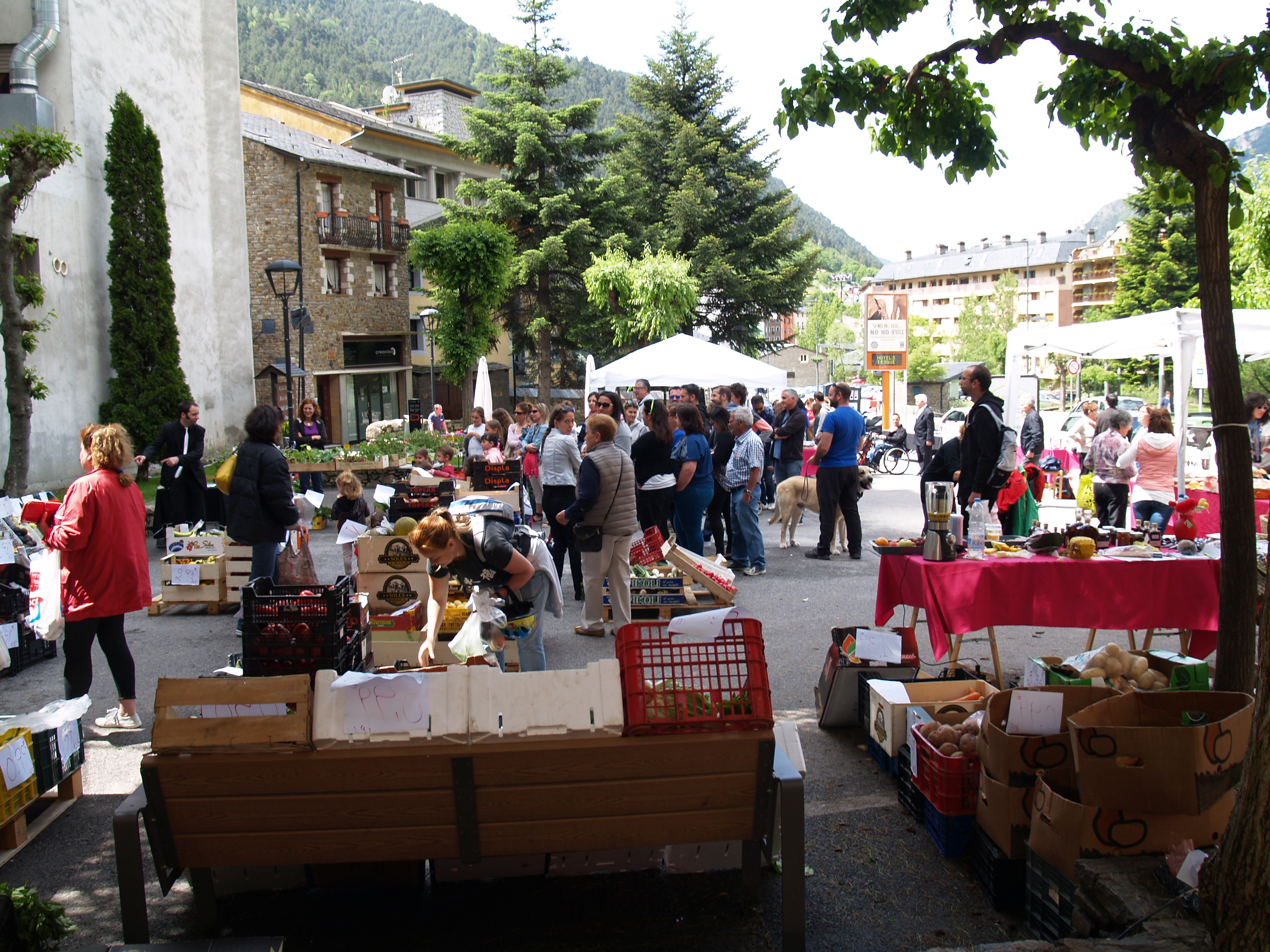 Màgia al Mercat d'Encamp 