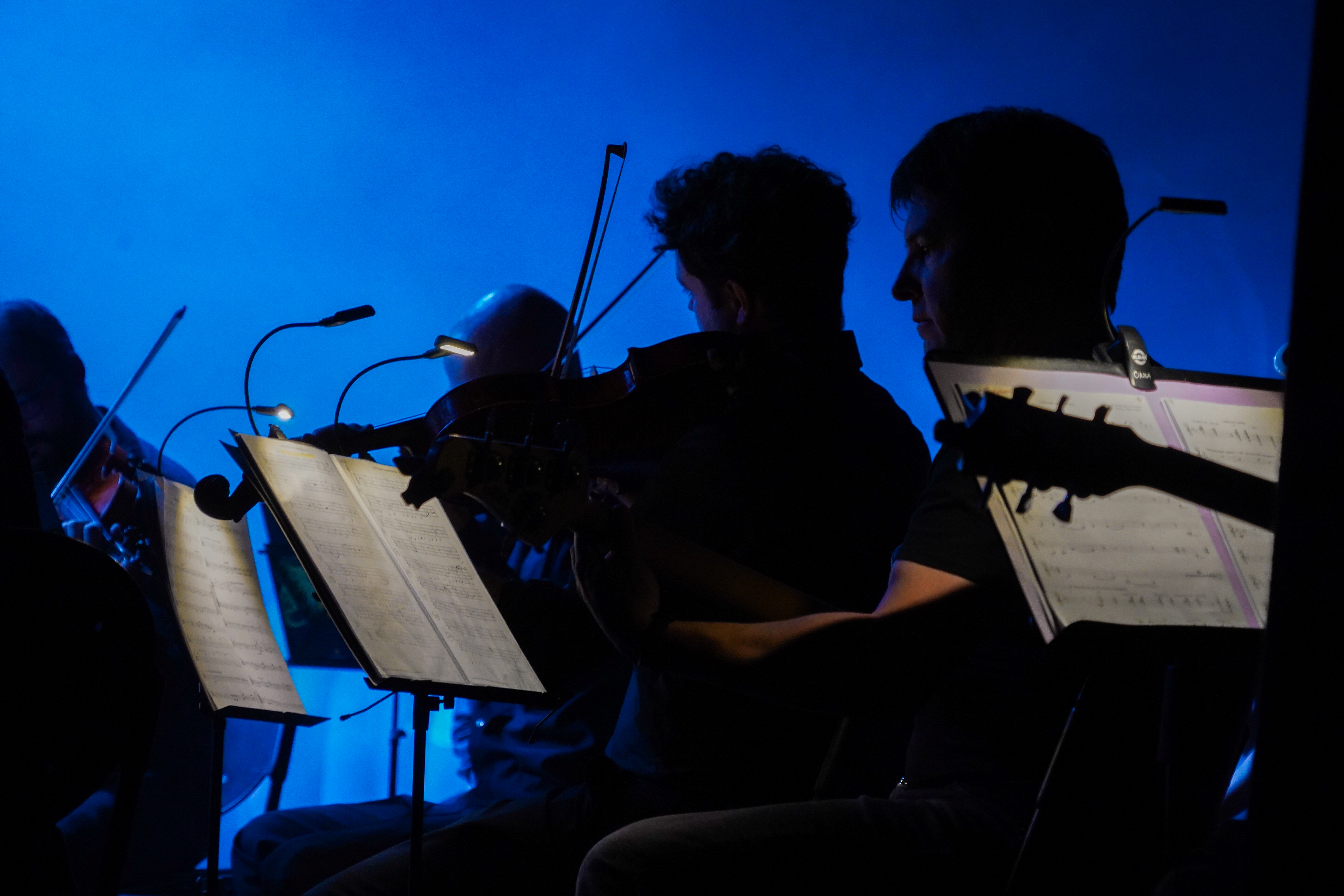 20250518 Musical L'ombra dels colors @ComuEncamp