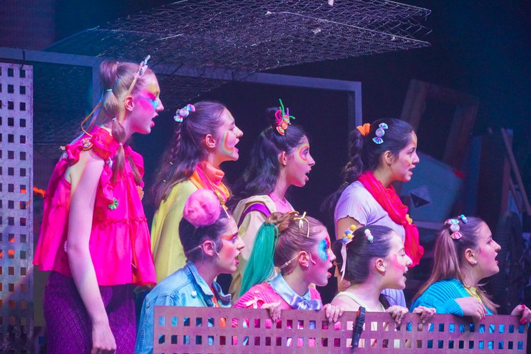 20250518 Musical L'ombra dels colors @ComuEncamp