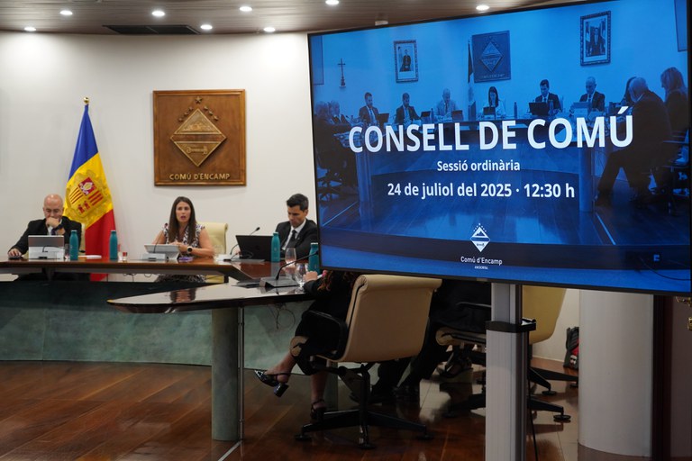 20250724 Consell de Comú @ComuEncamp (31).JPG