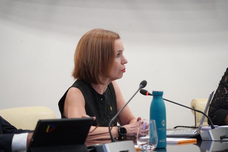 20250724 Consell de Comú @ComuEncamp (42).JPG