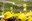 20210713_Sortida_Pas de la Casa_Tour de France 2021-61.jpg