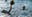 WP Camp Snow-003.jpg