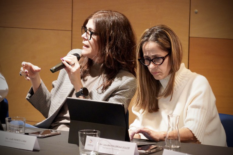 20260318 Reuni consell economic i social Pas de la Casa @ComuEncamp (12).jpg