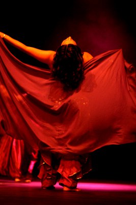 festival dansa-008.jpg.
