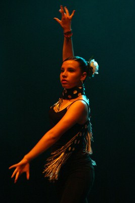 festival dansa-029.jpg.