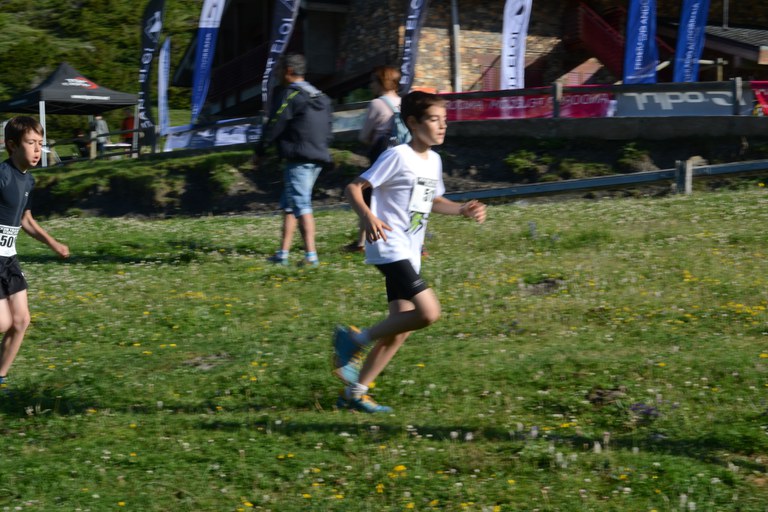 DSC_0485.JPG