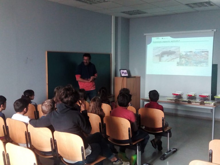 Dia Mundial del Medi Ambient 2018-004.jpg
