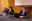 20260218 consell i visita coprincep el pas de la casa @RcAudiovisualsxComuEncamp (12).jpg