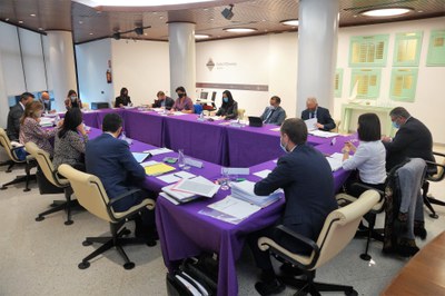 Encamp, reunió de cònsols 11 de juny de 2020.