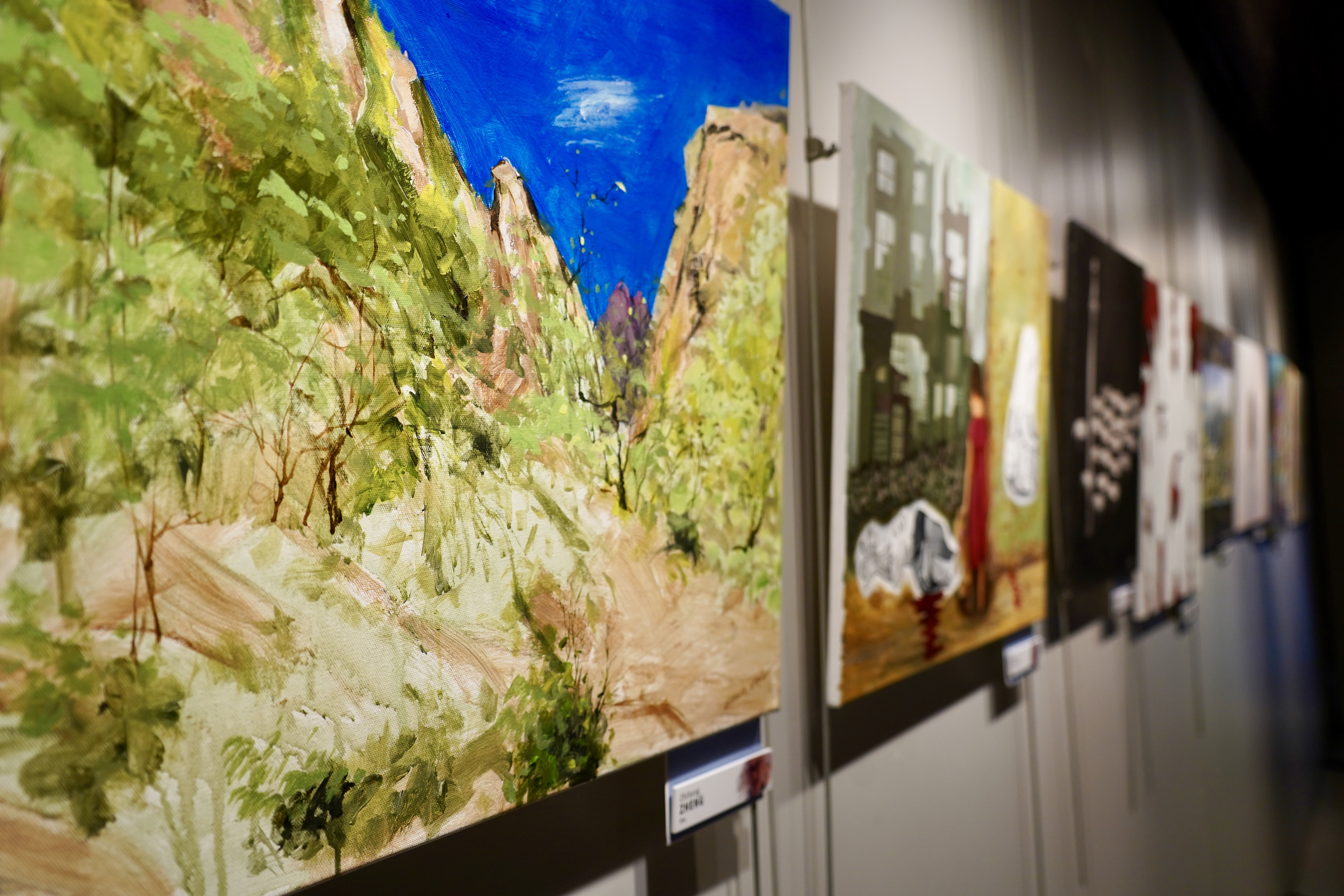 Exposició d'ArtCamp 'Colors per al Planeta' a Encamp