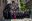 IMG_1223.jpeg