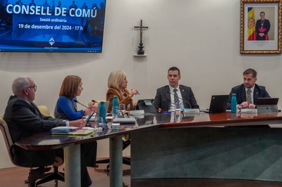 20241219 Consell de comu desembre @ComuEncamp (15).jpg.