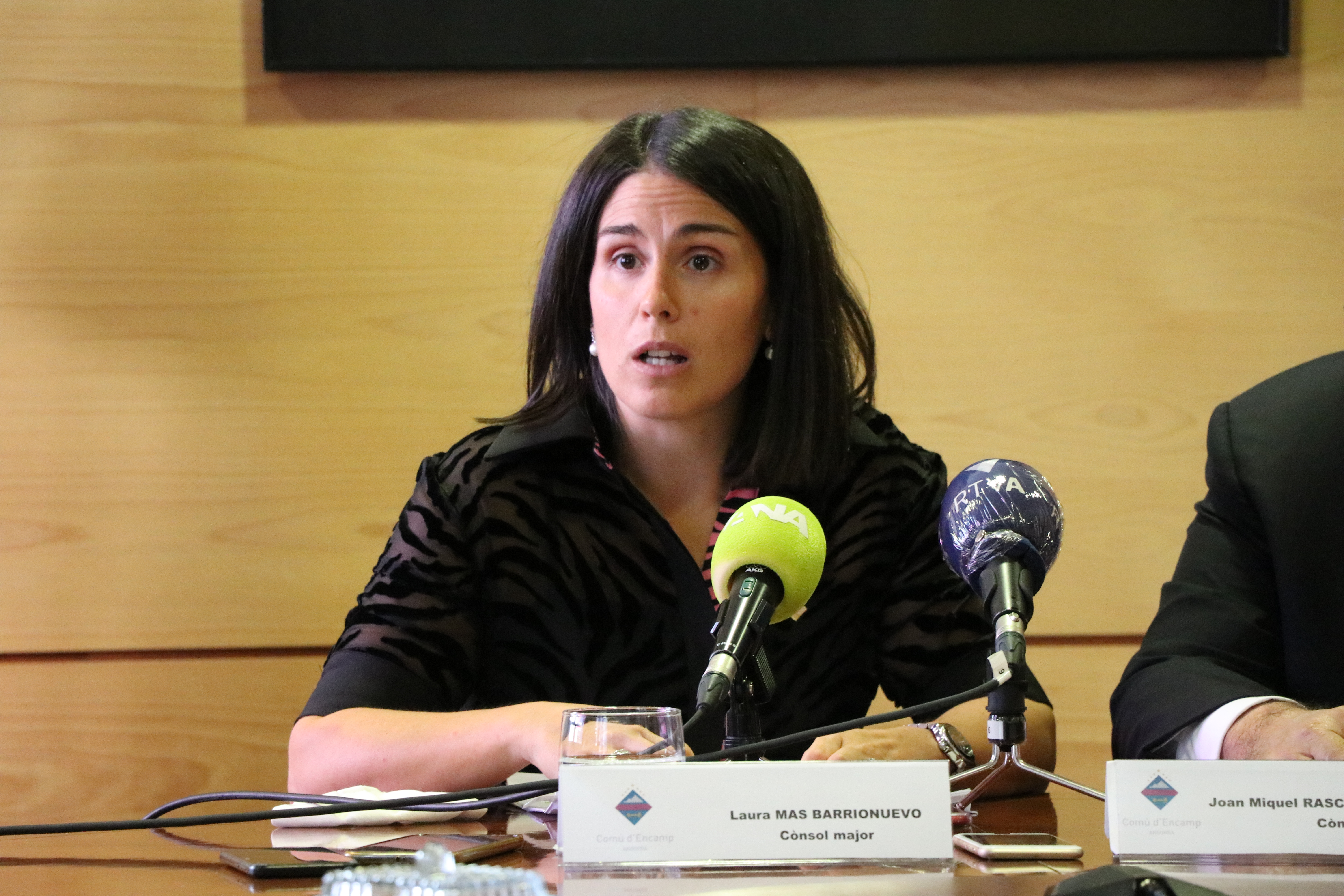 Consell de Comú. El Pas de la Casa, 17 de juliol de 2020