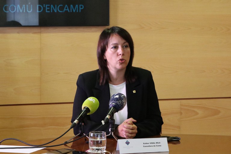 Consell de Comú. El Pas de la Casa, 17 de juliol de 2020