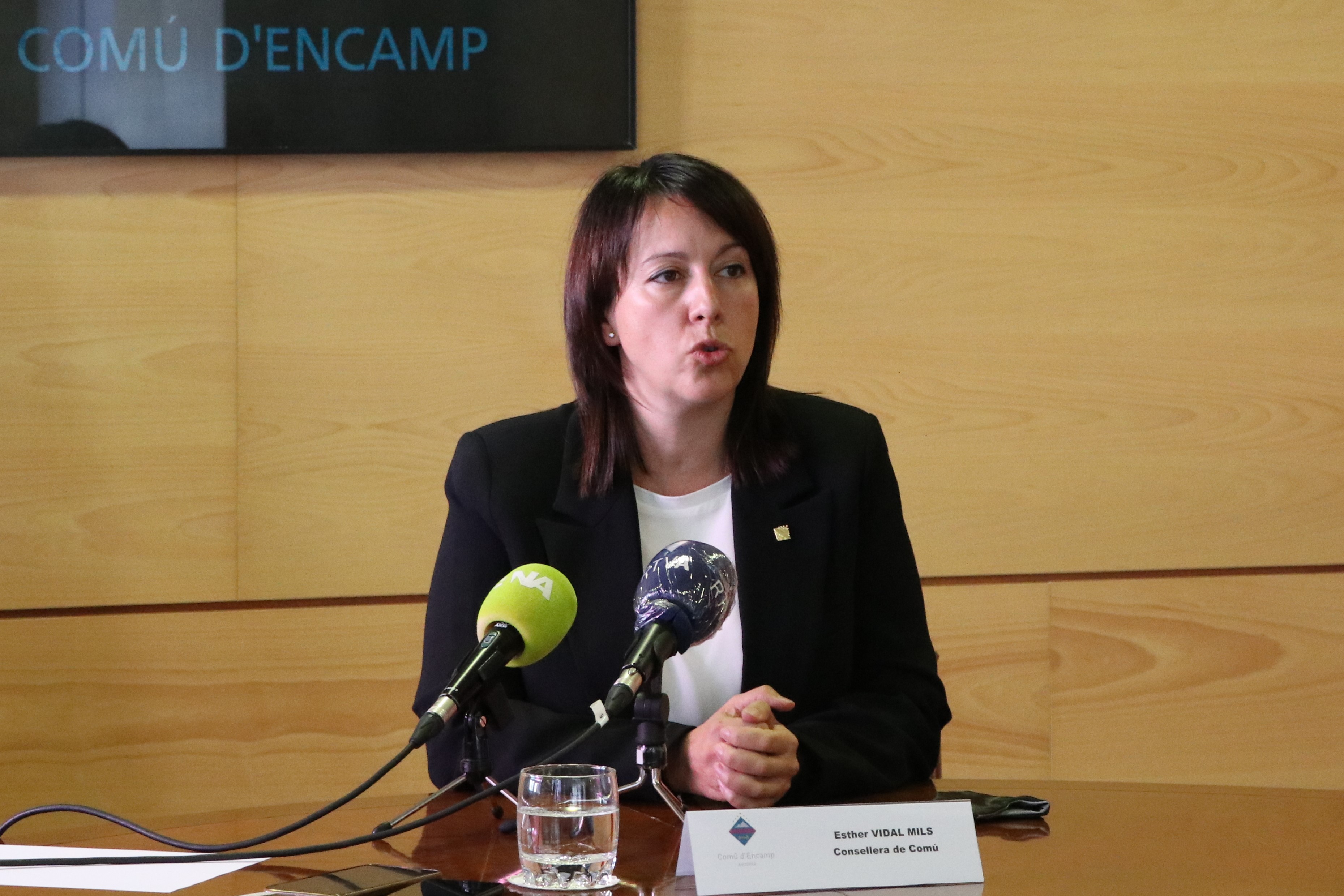 Consell de Comú. El Pas de la Casa, 17 de juliol de 2020
