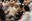 20260816_HOMENATGE GENT GRAN -32.jpg