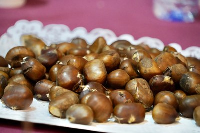 Castanyada per a la gent gran a Encamp.