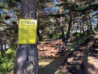 Encamp planifica els treballs forestals per als propers 17 anys